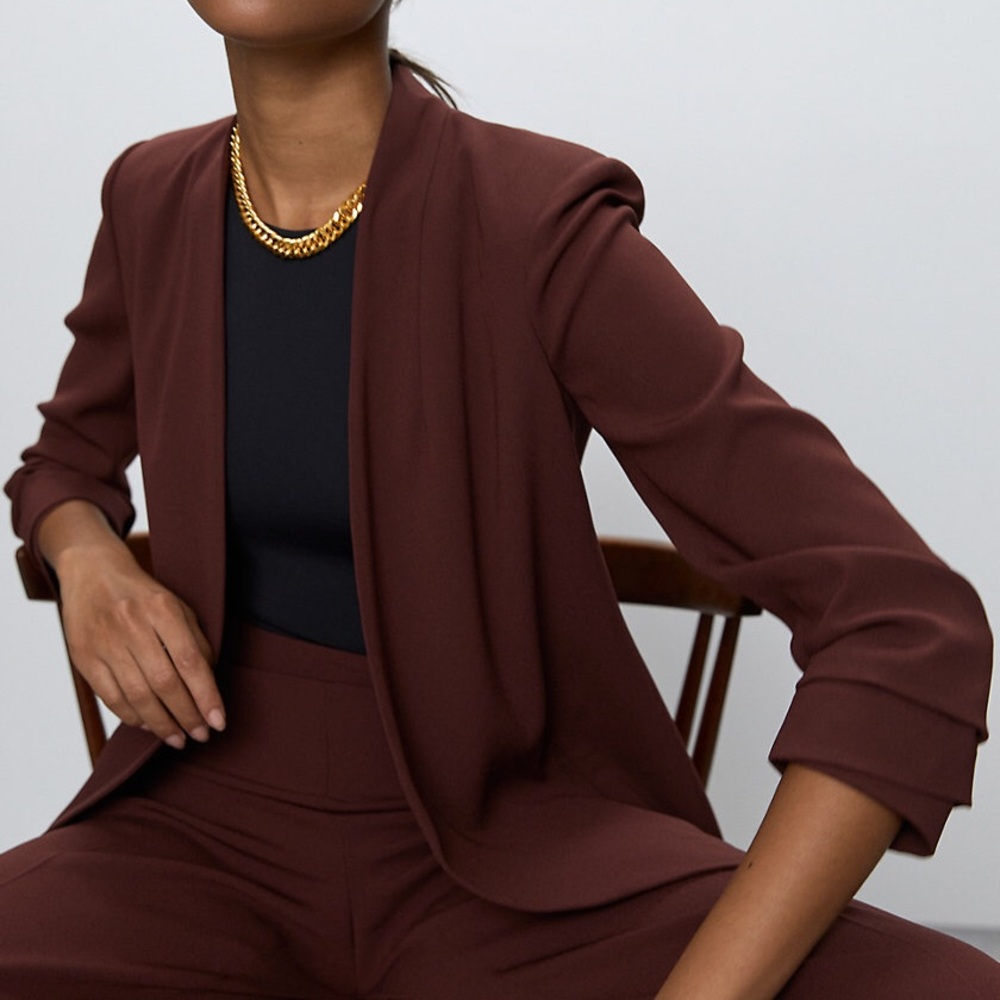 Aritzia Babaton Power Blazer